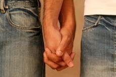 domestic partners