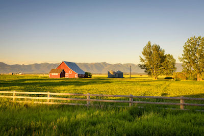 Montana Montana