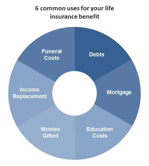 Types Of Life Insurance Policies Chart