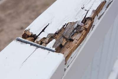 Does Home Insurance Cover Rotted Wood 