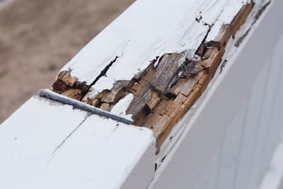 Does Home Insurance Cover Rotted Wood
