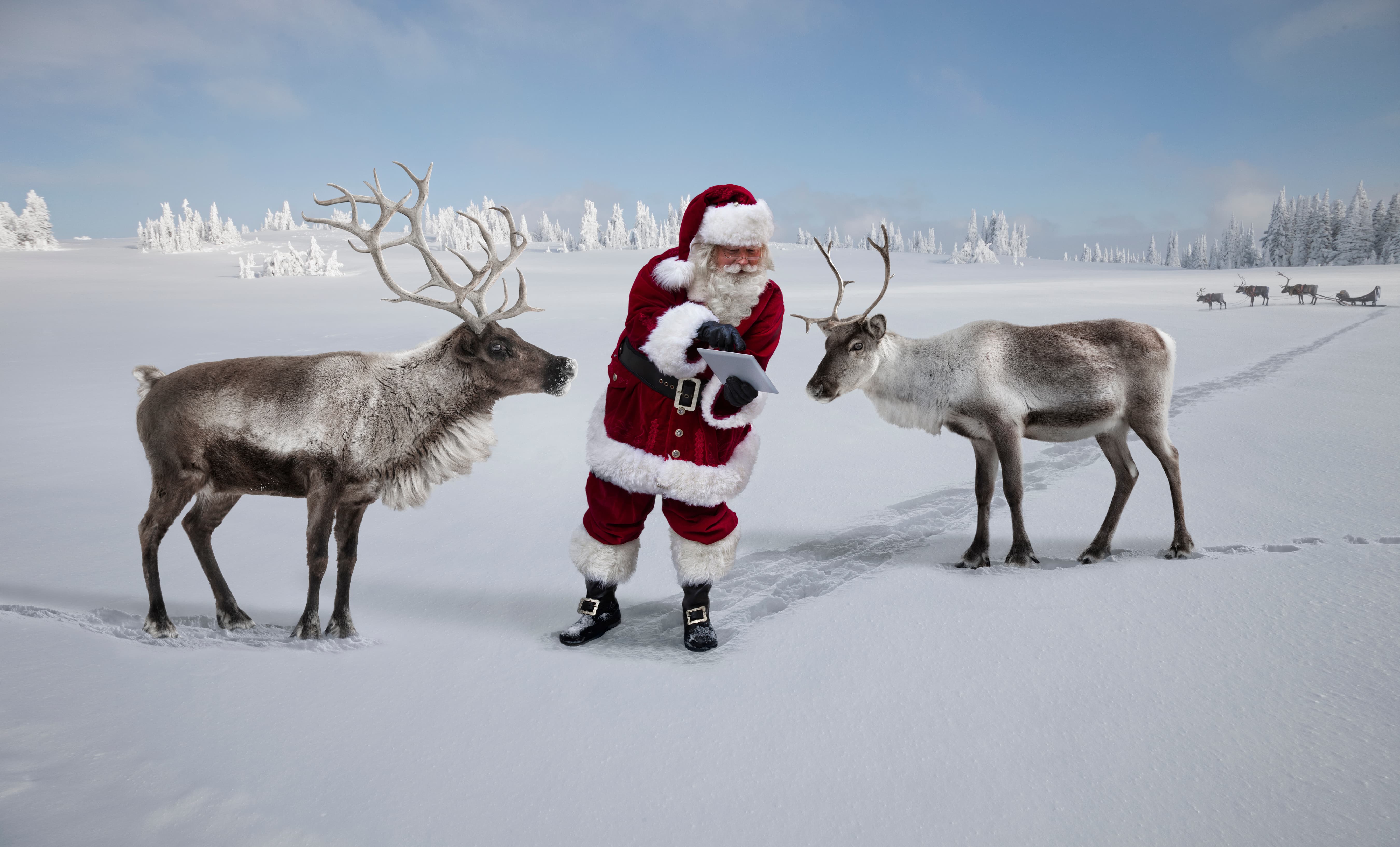 Santa and reindeer at the north pole reviewing their flight plan on a tablet.