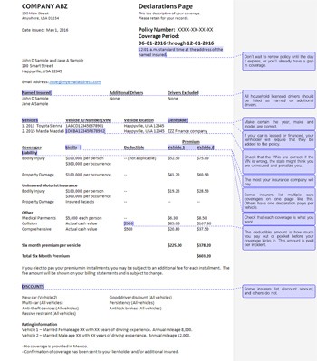 Sample declaration page