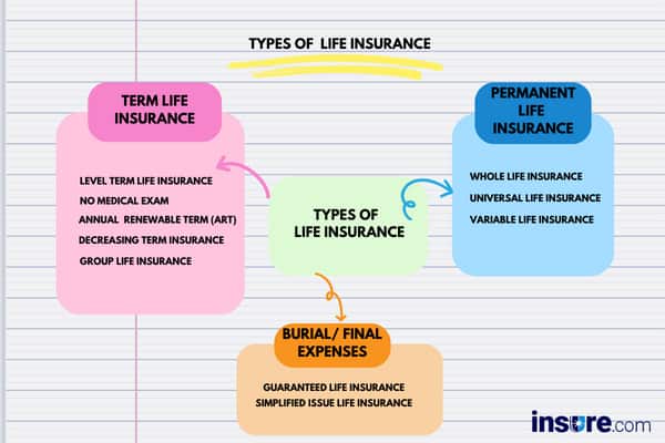 Types of life insurance 