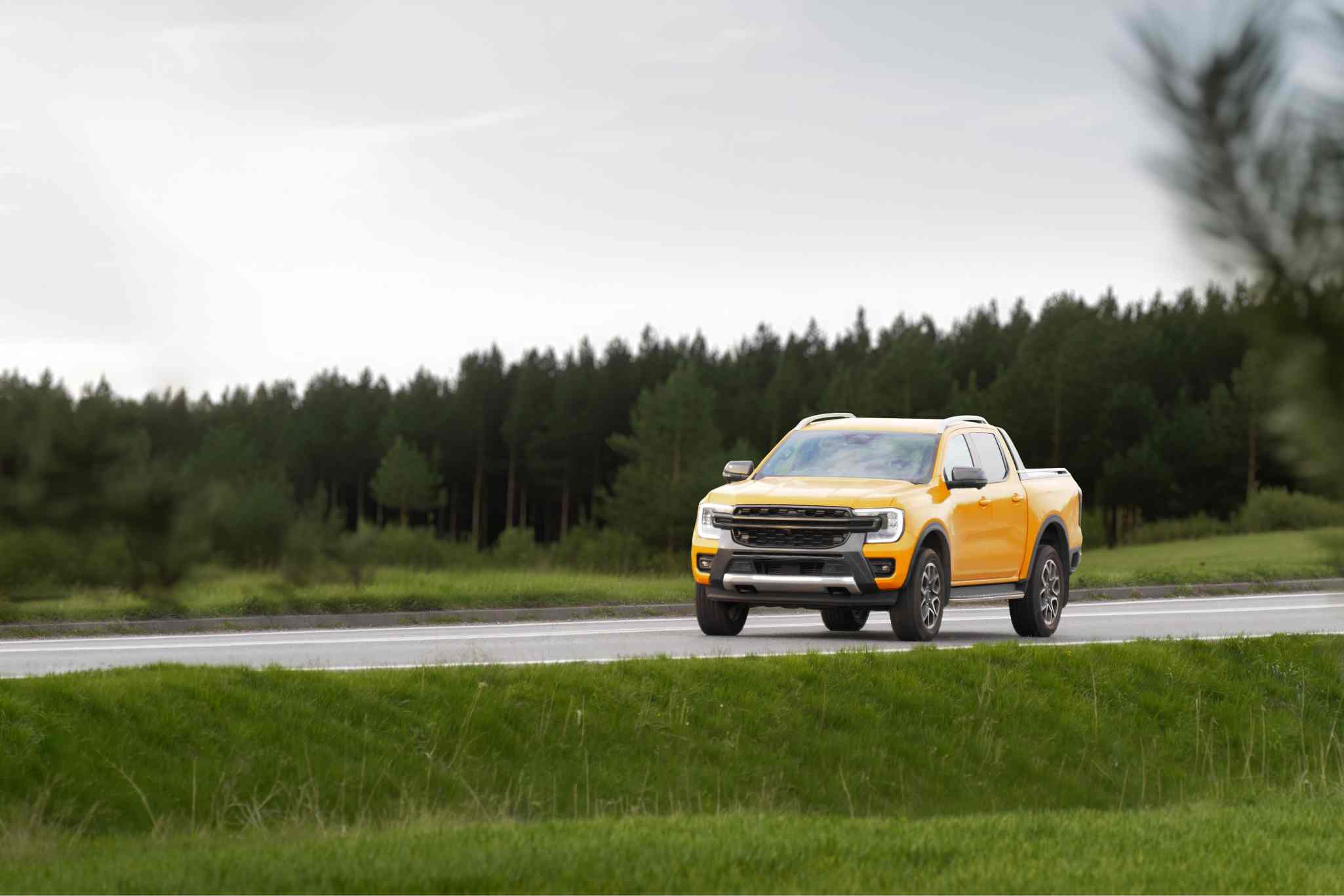 Auto insurance article